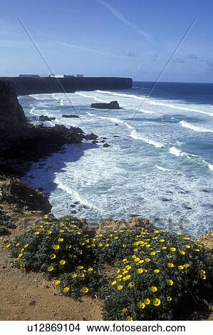 Portugal, Algarve, Fortaleza de Sagres can be seen on the distant cliffs as waves wash ashore along the Algarve Coast of the Atlantic Ocean View Large Photo Image Picture - Portugal, Algarve, Fortaleza de Sagres can be seen on the distant cliffs as waves wash ashore along the Algarve Coast of the Atlantic Ocean . Fotosearch