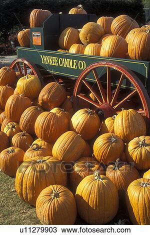 Stock Image -  pumpkins, South Deerfield, Massachusetts, A fall decoration of a bunch of pumpkins (in, around) a green wagon with red wheels at The Yankee Candle Company.. Fotosearch