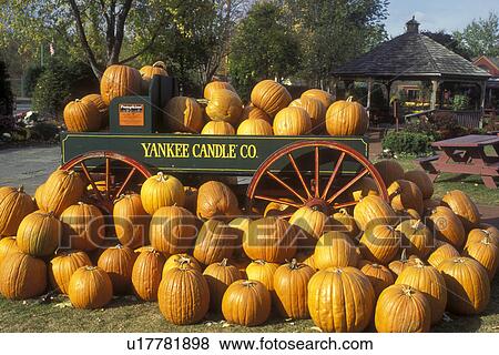 pumpkins, South Deerfield, Massachusetts, A fall decoration of a bunch of pumpkins (in, around) a green wagon with red wheels at The Yankee Candle Company. View Large Photo Image Stock Photo - pumpkins, South Deerfield, Massachusetts, A fall decoration of a bunch of pumpkins (in, around) a green wagon with red wheels at The Yankee Candle Company.. Fotosearch