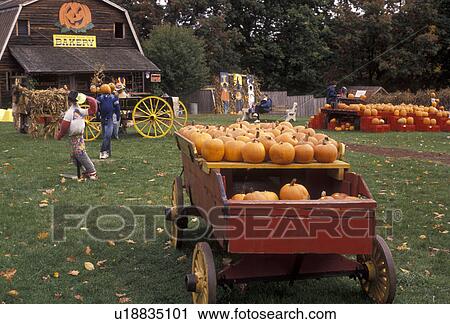 Stock Image -  pumpkins, wagon, Pocono Mountains, farm market, Pennsylvania, A Pennsylvania Dutch Farm market displays pumpkins in a red wagon in the fall in Mount Pocono in the state of Pennsylvania. . Fotosearch