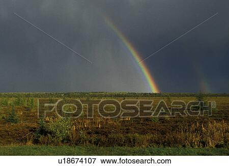 rainbow, field, Maine, A colorful rainbow appears over a field after a thunderstorm. View Large Photo Image Stock Photo - rainbow, field, Maine, A colorful rainbow appears over a field after a thunderstorm.. Fotosearch