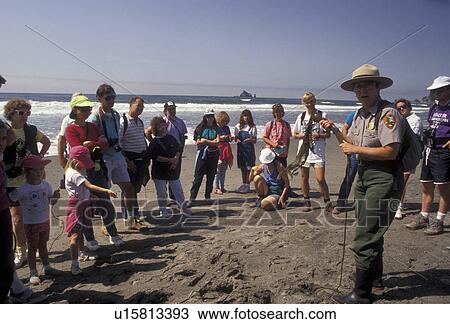 Stock Image -  ranger talk, Olympic National Park, Washington, Olympic Peninsula, Ranger gives talk to a group of people on Rialto Beach in Olympic National Park in the state of Washington. . Fotosearch