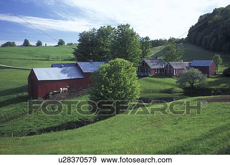 red barn, farm, spring, Vermont, VT, Scenic view of Jenne Farm in Reading in the early spring. View Large Photo Image Stock Photo - red barn, farm, spring, Vermont, VT, Scenic view of Jenne Farm in Reading in the early spring.. Fotosearch