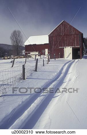 red barn, Vermont, VT, Tracks in the snow leading into the red barn on Otterman Farm in West Topsham in the winter. View Large Photo Image Stock Image - red barn, Vermont, VT, Tracks in the snow leading into the red barn on Otterman Farm in West Topsham in the winter. . Fotosearch