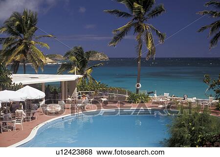 resort, Antigua, pool, Caribbean, Caribbean Islands, Swimming pool at hotel with palm trees on Half Moon Bay on the island of Antigua (a British Commonwealth member). View Large Photo Image Stock Photo - resort, Antigua, pool, Caribbean, Caribbean Islands, Swimming pool at hotel with palm trees on Half Moon Bay on the island of Antigua (a British Commonwealth member). . Fotosearch