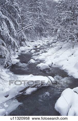 Stock Photo -  river, stream, brook, Vermont, VT, Ridley Brook, North Duxbury, Green Mountains National Forest, snow, winter. Fotosearch