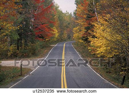 Stock Photography -  road, fall, foliage, Vermont, Groton State Forest, Colorful fall foliage along a road in Groton State Forest. Yellow lines on the road.. Fotosearch