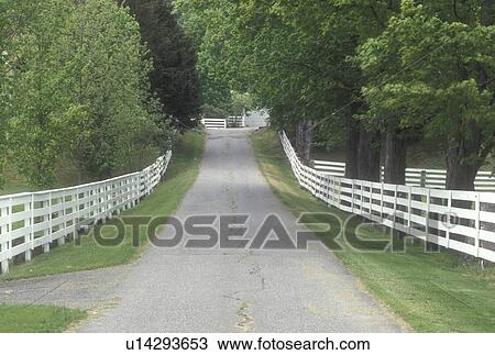 road, fence, New Hampshire, Country lane lined with white fences and trees in Orford, New Hampshire. View Large Photo Image Stock Image - road, fence, New Hampshire, Country lane lined with white fences and trees in Orford, New Hampshire. . Fotosearch
