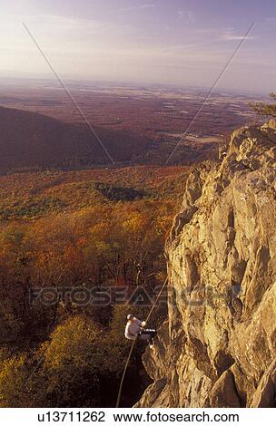 Stock Image -  rock climbing, Blue Ridge, Virginia, Blue Ridge Mountains, Appalachian Mountains, Blue Ridge Parkway, A young man rock climbs above the beautiful Jefferson National Forest in the fall in the state of Virginia.. Fotosearch