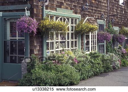 Stock Photography -  Rockport, Massachusetts, An array of colorful (yellow, purple) flowers decorate a gift shop in Historic Rockport.. Fotosearch