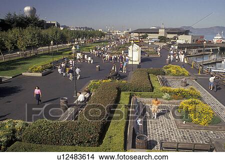 Picture -  San Francisco, Bay Area, California, Along the waterfront in San Francisco in the state of California. . Fotosearch
