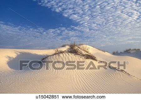 sand dune, Cumberland Island, Georgia, Wind swept sand dunes on the white sand beaches of Cumberland Island National Seashore, Georgia. View Large Photo Image Stock Image - sand dune, Cumberland Island, Georgia, Wind swept sand dunes on the white sand beaches of Cumberland Island National Seashore, Georgia.. Fotosearch