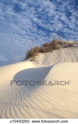 sand dune, Cumberland Island, sand, Georgia, Wind swept sand dunes on the white sand beaches of Cumberland Island National Seashore, Georgia. View Large Photo Image Stock Image - sand dune, Cumberland Island, sand, Georgia, Wind swept sand dunes on the white sand beaches of Cumberland Island National Seashore, Georgia.. Fotosearch