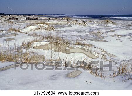 Picture -  sand, snow, Cumberland Island, Georgia, Snow covers the sand dunes on the beach on Cumberland Island National Seashore from a unique snowstorm that past through the islands.. Fotosearch