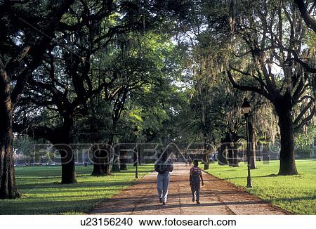 Savannah, Georgia, Joggers run along a tree-lined road in Forsyth Park in Savannah in the state of Georgia., View Large Photo Image Stock Image - Savannah, Georgia, Joggers run along a tree-lined road in Forsyth Park in Savannah in the state of Georgia., . Fotosearch