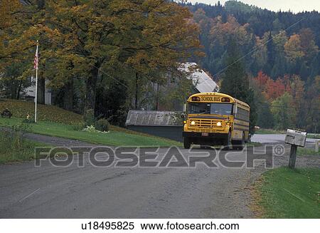 school bus, Vermont, fall, A school bus drives up a country road carrying school children in the autumn in South Walden. View Large Photo Image Stock Photography - school bus, Vermont, fall, A school bus drives up a country road carrying school children in the autumn in South Walden.. Fotosearch