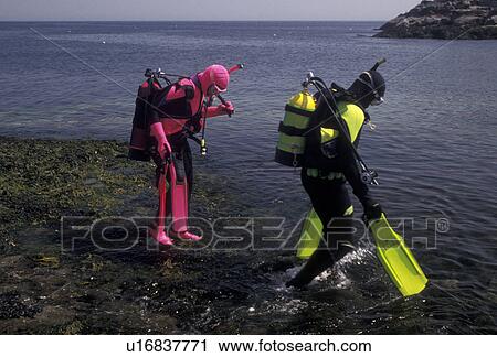 scuba diver, divers, Cape Neddick, Maine, Atlantic Ocean, Two people getting ready to go scuba diving in York Harbor at Cape Neddick in the state of Maine. One person is wearing a pink wet suit, the other person is wearing a light green wet suit. View Large Photo Image Stock Image - scuba diver, divers, Cape Neddick, Maine, Atlantic Ocean, Two people getting ready to go scuba diving in York Harbor at Cape Neddick in the state of Maine. One person is wearing a pink wet suit, the other person is wearing a light green wet suit.. Fotosearch