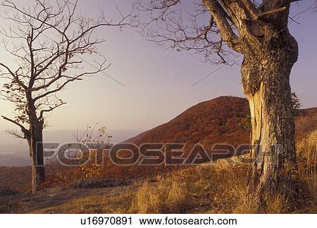 Stock Image -  Shenandoah National Park, Blue Ridge Mountains, Virginia, Appalachian Mountains, Scenic view of Shenandoah National Park in the fall in the state of Virginia.. Fotosearch