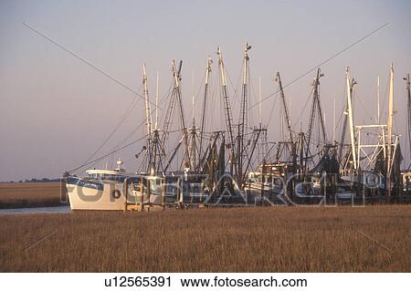 shrimp boats, South Carolina, Shrimp boats moored at the dock on the marshlands at sunrise in Beaufort, South Carolina. View Large Photo Image Stock Image - shrimp boats, South Carolina, Shrimp boats moored at the dock on the marshlands at sunrise in Beaufort, South Carolina.. Fotosearch