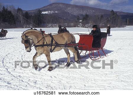 sleigh ride, Vermont, Mad River Valley, VT, An Icelandic horse pulls a red sleigh in the Womens Horse & Sleigh Competition at the Mad River Winter Carnival in Waitsfield in winter. View Large Photo Image Stock Image - sleigh ride, Vermont, Mad River Valley, VT, An Icelandic horse pulls a red sleigh in the Womens Horse & Sleigh Competition at the Mad River Winter Carnival in Waitsfield in winter. . Fotosearch