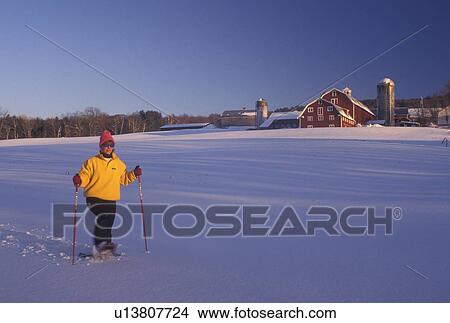 snowshoe, Vermont, VT, Woman snowshoeing in a snow-covered field in front of a red barn on a farm in winter in Barnet. View Large Photo Image Picture - snowshoe, Vermont, VT, Woman snowshoeing in a snow-covered field in front of a red barn on a farm in winter in Barnet. . Fotosearch