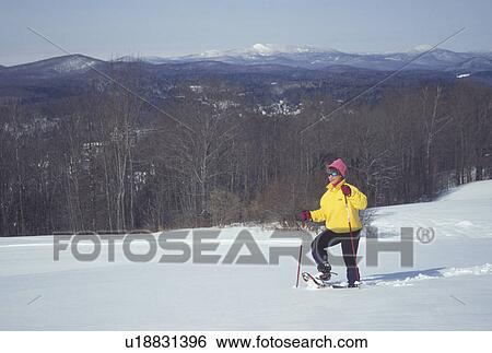 snowshoeing, Vermont, VT, Woman snowshoeing in a snow-covered field in winter in Montpelier. View Large Photo Image Stock Photograph - snowshoeing, Vermont, VT, Woman snowshoeing in a snow-covered field in winter in Montpelier.. Fotosearch
