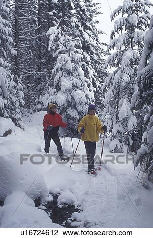 snowshoeing, winter, Vermont, Mother and daughter (10 years old) snowshoe together through the the snow covered evergreen trees on a winter day in Groton State Forest in Caledonia County in the state of Vermont. View Large Photo Image Stock Image - snowshoeing, winter, Vermont, Mother and daughter (10 years old) snowshoe together through the the snow covered evergreen trees on a winter day in Groton State Forest in Caledonia County in the state of Vermont.. Fotosearch
