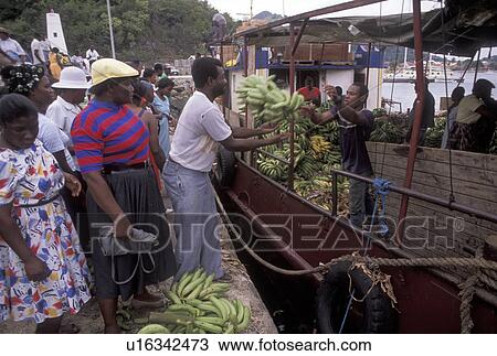St. Martin, Caribbean, Marigot, Caribbean Islands, Local people unloading bananas from a banana boat in Marigot's harbor the French capital of the island of Saint Martin (french part). View Large Photo Image Stock Image - St. Martin, Caribbean, Marigot, Caribbean Islands, Local people unloading bananas from a banana boat in Marigot's harbor the French capital of the island of Saint Martin (french part).. Fotosearch