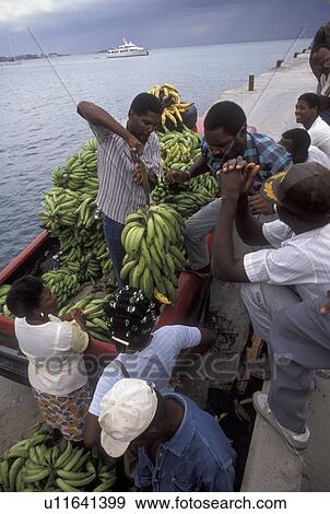 St. Martin, Caribbean, Marigot, Caribbean Islands, Local black people weighing bananas in Marigot's harbor the French capital of the island of Saint Martin (french part). View Large Photo Image Stock Photo - St. Martin, Caribbean, Marigot, Caribbean Islands, Local black people weighing bananas in Marigot's harbor the French capital of the island of Saint Martin (french part).. Fotosearch