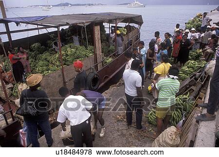 St. Martin, Caribbean, Marigot, Caribbean Islands, Local people unloading bananas from a banana boat in Marigot's harbor the French capital of the island of Saint Martin (french part). View Large Photo Image Stock Photo - St. Martin, Caribbean, Marigot, Caribbean Islands, Local people unloading bananas from a banana boat in Marigot's harbor the French capital of the island of Saint Martin (french part).. Fotosearch