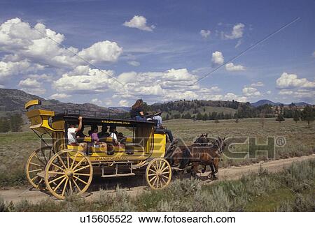 stage coach, Yellowstone National Park, Wyoming, Yellowstone, A yellow stage coach rides through the scenic countryside of Yellowstone National Park at Tower-Roosevelt in the state of Wyoming. View Large Photo Image Stock Image - stage coach, Yellowstone National Park, Wyoming, Yellowstone, A yellow stage coach rides through the scenic countryside of Yellowstone National Park at Tower-Roosevelt in the state of Wyoming. . Fotosearch