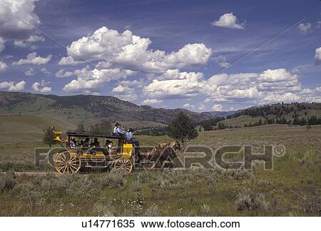 stage coach, Yellowstone National Park, Wyoming, Yellowstone, A yellow stage coach rides through the scenic countryside of Yellowstone National Park at Tower-Roosevelt in the state of Wyoming. View Large Photo Image Stock Photography - stage coach, Yellowstone National Park, Wyoming, Yellowstone, A yellow stage coach rides through the scenic countryside of Yellowstone National Park at Tower-Roosevelt in the state of Wyoming. . Fotosearch