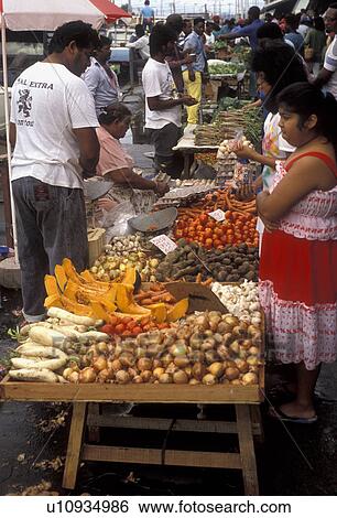 street market, Trinidad, Trinidad and Tobago, Caribbean, Port of Spain, Caribbean Islands, Local people selling fresh produce on Market Day in the city of Port of Spain the capital city on the island of Trinidad (a British Commonwealth member). View Large Photo Image Stock Photograph - street market, Trinidad, Trinidad and Tobago, Caribbean, Port of Spain, Caribbean Islands, Local people selling fresh produce on Market Day in the city of Port of Spain the capital city on the island of Trinidad (a British Commonwealth member).. Fotosearch