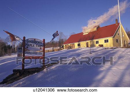sugarhouse, Vermont, VT, Sugarhouse at Goodrich's Maple Farm in Cabot the snow in the early spring View Large Photo Image Stock Photograph - sugarhouse, Vermont, VT, Sugarhouse at Goodrich's Maple Farm in Cabot the snow in the early spring. Fotosearch