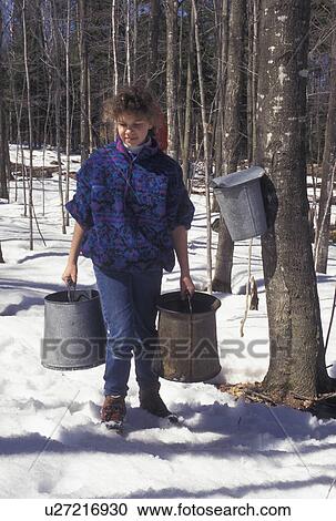 sugaring, Vermont, VT, Young girl carrying two buckets of sap during sugaringtime on Carpenter Farm in Cabot in the snow in the early spring. View Large Photo Image Stock Image - sugaring, Vermont, VT, Young girl carrying two buckets of sap during sugaringtime on Carpenter Farm in Cabot in the snow in the early spring.. Fotosearch