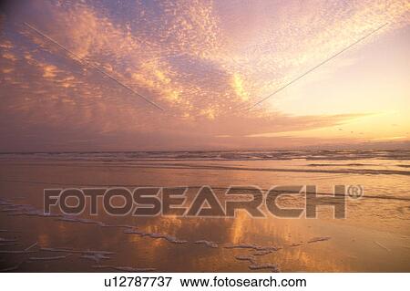Stock Photo -  sunrise, sunset, Cumberland Island, Georgia, ocean, Clouds reflect on the calm waters along the beach at sunrise on Cumberland Island National Seashore, Georgia.. Fotosearch