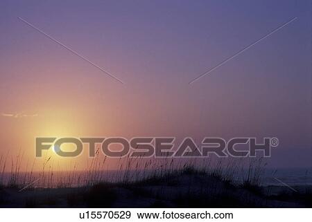 Stock Photo -  sunrise, sunset, Cumberland Island National Seashore, Atlantic ocean, Georgia. [Sunrise, sunset] from Sea Camp Beach on Cumberland Island. . Fotosearch