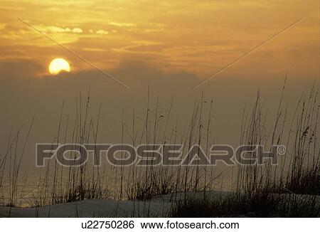 Stock Photograph -  sunrise, sunset, Cumberland Island, Georgia, Sunrise from Sea Camp Beach on Cumberland Island National Seashore.. Fotosearch
