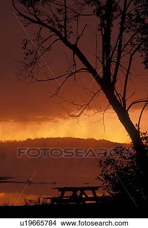 sunrise, sunset, fog, Pennsylvania, Scenic silhouette of picnic table and tree at sunrise in Lackawanna State Park in the state of Pennsylvania. View Large Photo Image Picture - sunrise, sunset, fog, Pennsylvania, Scenic silhouette of picnic table and tree at sunrise in Lackawanna State Park in the state of Pennsylvania. . Fotosearch