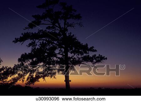 Stock Photograph -  sunset, tree, silhouette, Georgia, A silhouette of a tree at [sunset, sunrise] from the summit of Stone Mountain.. Fotosearch