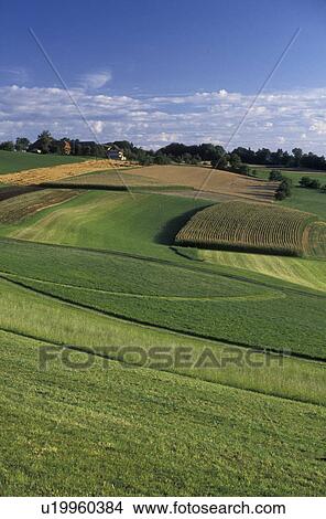 Switzerland, Bern, Europe, Scenic farmland in Belpberg in the Canton of Bern. View Large Photo Image Picture - Switzerland, Bern, Europe, Scenic farmland in Belpberg in the Canton of Bern.. Fotosearch