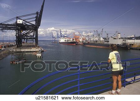 Stock Image -  Tacoma, Port of Tacoma, Washington, Pacific, Woman looks off a oier at the Port of Tacoma on Puget Sound in Tacoma in the state of Washington. . Fotosearch
