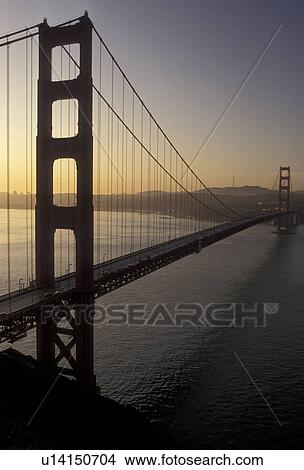 The Golden Gate Bridge, bridge, Golden Gate, San Francisco, Pacific Ocean, San Francisco Bay, California, The Golden Gate Bridge of San Francisco, the longest single-span suspension bridges ever built, in the state of California. View Large Photo Image Picture - The Golden Gate Bridge, bridge, Golden Gate, San Francisco, Pacific Ocean, San Francisco Bay, California, The Golden Gate Bridge of San Francisco, the longest single-span suspension bridges ever built, in the state of California. . Fotosearch