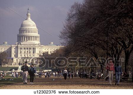 Stock Photograph -  The Mall, U. S. Capitol, Washington, District of Columbia, D. C People walk and relax on the Mall lined with trees with the U. S. Capitol Building in the background in the nations capital Washington, DC.. Fotosearch