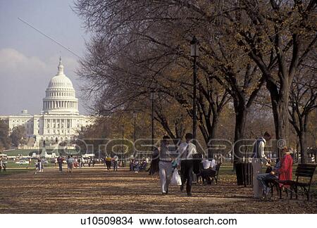 The Mall, Washington, District of Columbia, D. C People walk and relax on the Mall lined with trees with the U. S. Capitol Building in the background in the nations capital Washington, DC. View Large Photo Image Picture - The Mall, Washington, District of Columbia, D. C People walk and relax on the Mall lined with trees with the U. S. Capitol Building in the background in the nations capital Washington, DC.. Fotosearch