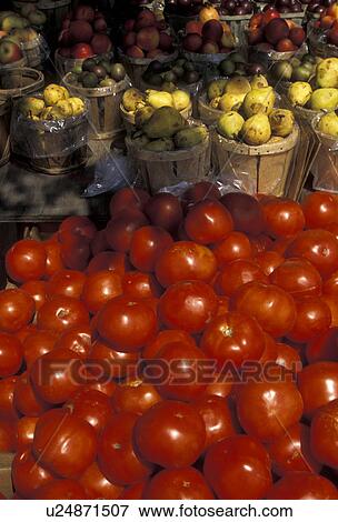 tomatoes, market, produce, Tomatoes and other fresh produce for sale at a farm market in Soudersburg in Lancaster County in Pennsylvania Dutch Country in the state of Pennsylvania. View Large Photo Image Stock Photo - tomatoes, market, produce, Tomatoes and other fresh produce for sale at a farm market in Soudersburg in Lancaster County in Pennsylvania Dutch Country in the state of Pennsylvania. . Fotosearch