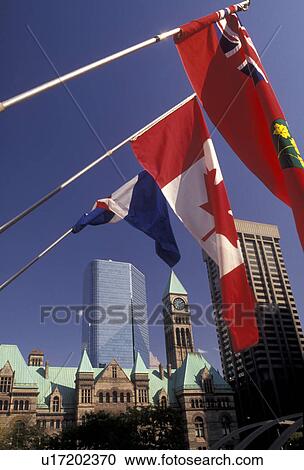 Toronto, flags, Canada, Ontario, Three Canadian flags wave in front of Old City Hall and high-rise buildings in Toronto. View Large Photo Image Stock Image - Toronto, flags, Canada, Ontario, Three Canadian flags wave in front of Old City Hall and high-rise buildings in Toronto.. Fotosearch