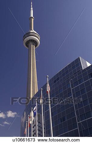 Toronto, Ontario, Canada, Flags fly in front of the Skydome Hotel and CN Tower in downtown Toronto. View Large Photo Image Stock Image - Toronto, Ontario, Canada, Flags fly in front of the Skydome Hotel and CN Tower in downtown Toronto.. Fotosearch