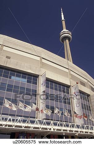 Toronto, Ontario, Canada, Skydome (home of baseball's Blue Jay and CFL's Argonauts) and CN Tower in downtown Toronto. View Large Photo Image Stock Photography - Toronto, Ontario, Canada, Skydome (home of baseball's Blue Jay and CFL's Argonauts) and CN Tower in downtown Toronto.. Fotosearch