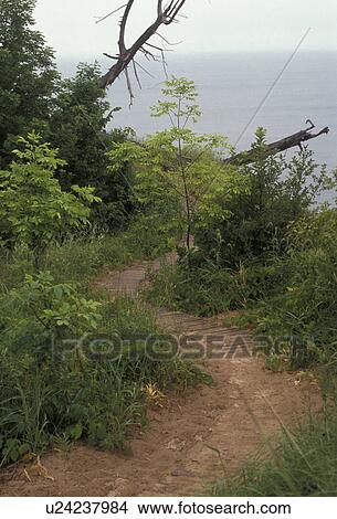 trail, hiking, path, Sleeping Bear Dunes, Michigan, Hiking trail on Empire Bluff at Sleeping Bear Dunes National Lakeshore in the state of Michigan. View Large Photo Image Picture - trail, hiking, path, Sleeping Bear Dunes, Michigan, Hiking trail on Empire Bluff at Sleeping Bear Dunes National Lakeshore in the state of Michigan.. Fotosearch